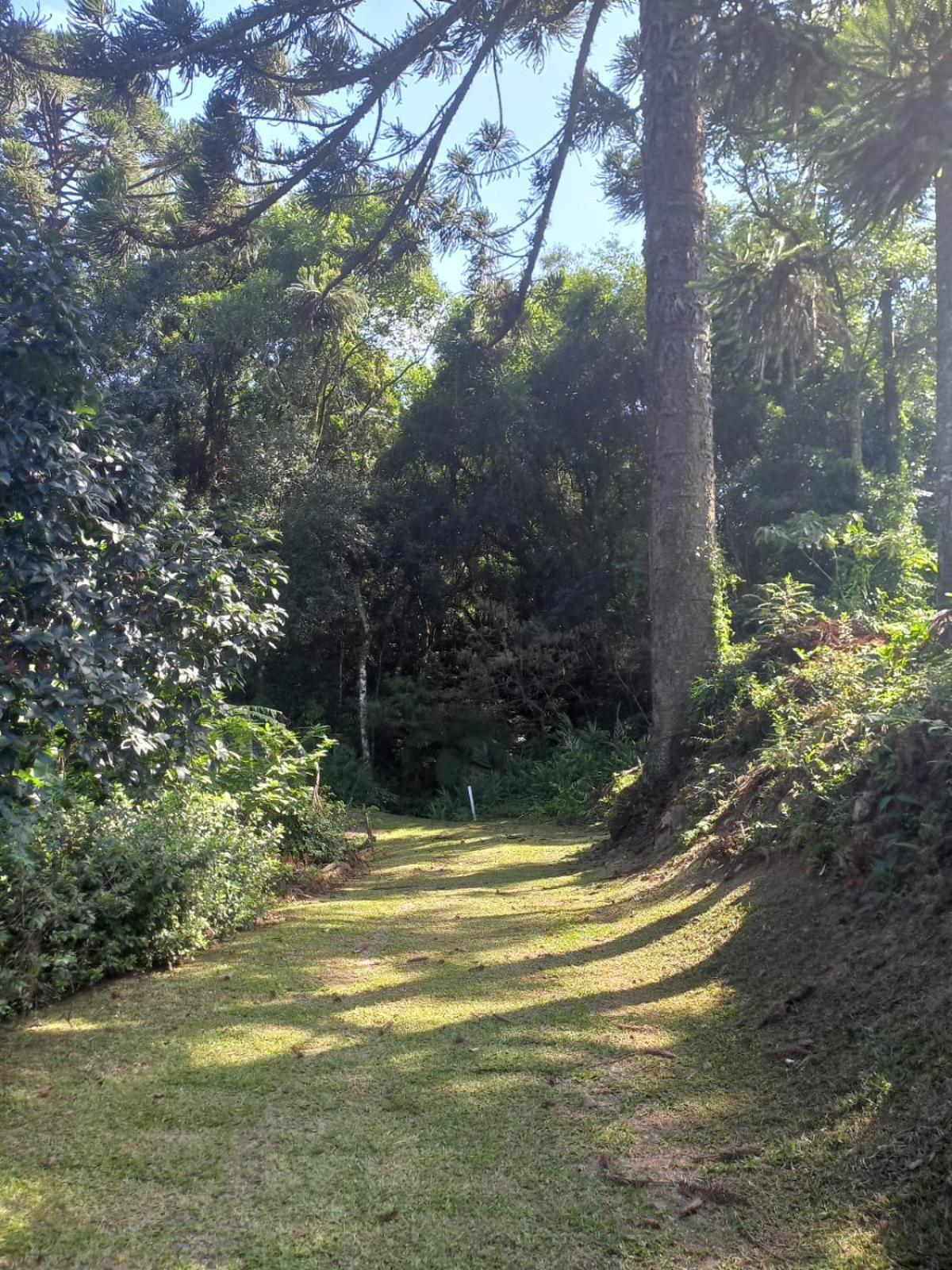 Casa Ampla E Aconchegante Em Gramado Villa Exterior foto