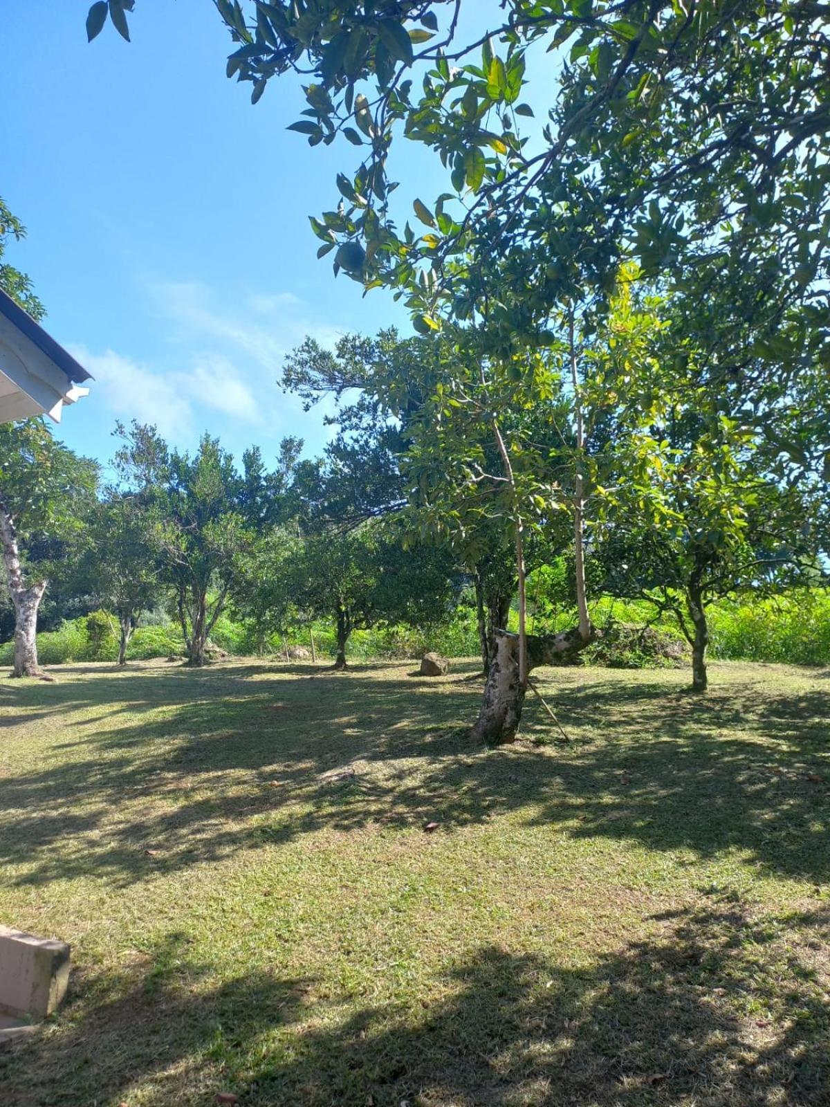 Casa Ampla E Aconchegante Em Gramado Villa Exterior foto